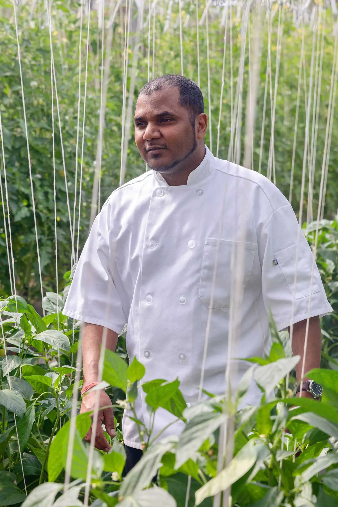 Chef in white coat walking through greenhouse
